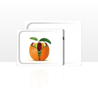 Set di 2 vassoi multiuso (42 x 29 e 48 x 37 cm), Fantasia 4