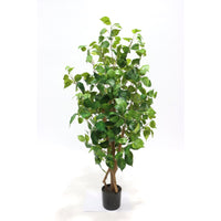 Set di 4 Piante Ficus Sintetica Real Touch H110cm Verde In Vaso Plastica