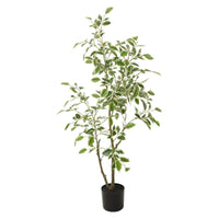 Set di 4 Piante Ficus Sintreal Touch H120cm Verde/bianco In Vaso Plastica