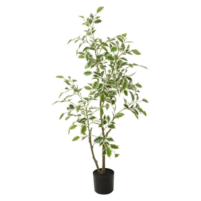 Set di 4 Piante Ficus Sintreal Touch H120cm Verde/bianco In Vaso Plastica