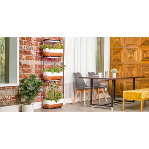 Set di 4 SEDIE MARSIGLIA