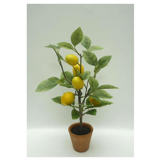 Set di 6 Piante Di Limone Artificiale In Vaso Di Terracotta H 43 Cm