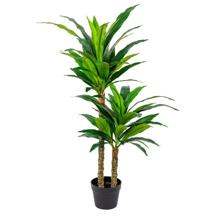 Set di 6 Piante Dracena Sintetica Real Touch H100cm Vaso Plastica 62 Lvs