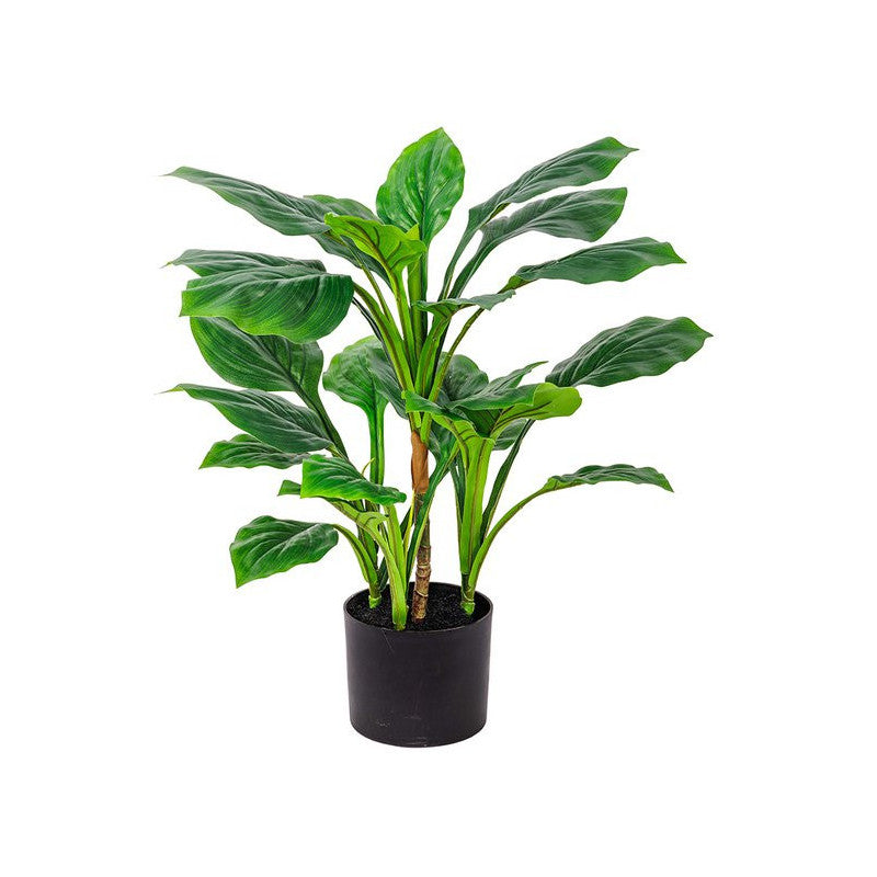 Set di 6 Piante Real Touch Hosta H60cm Verde In Vaso Plastica 26lvs