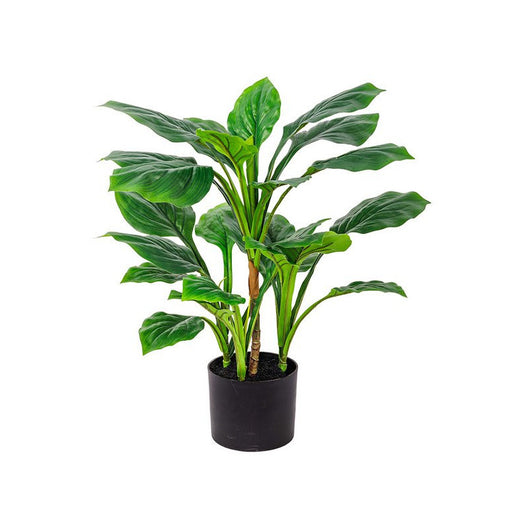 Set di 6 Piante Real Touch Hosta H60cm Verde In Vaso Plastica 26lvs