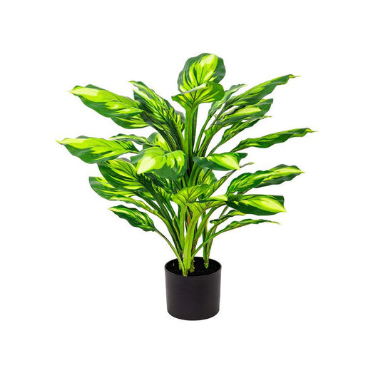Set di 6 Piante Sintetica Hosta H65cm B co/verde In Vaso Plastica 35lvs