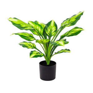 Set di 6 Piante Sintetica Hosta Real Touch H40cm B co/verde In Vaso Plastica 15lvs
