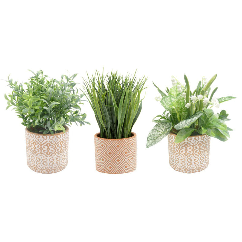 Set di 6 Piantine In Vaso Di Terracotta Assortite 10x9 Cm