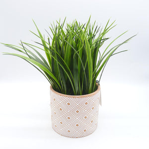 Set di 6 Piantine In Vaso Di Terracotta Assortite 10x9 Cm