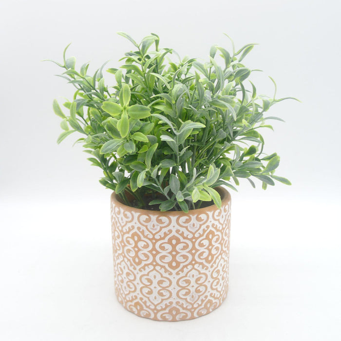 Set di 6 Piantine In Vaso Di Terracotta Assortite 10x9 Cm