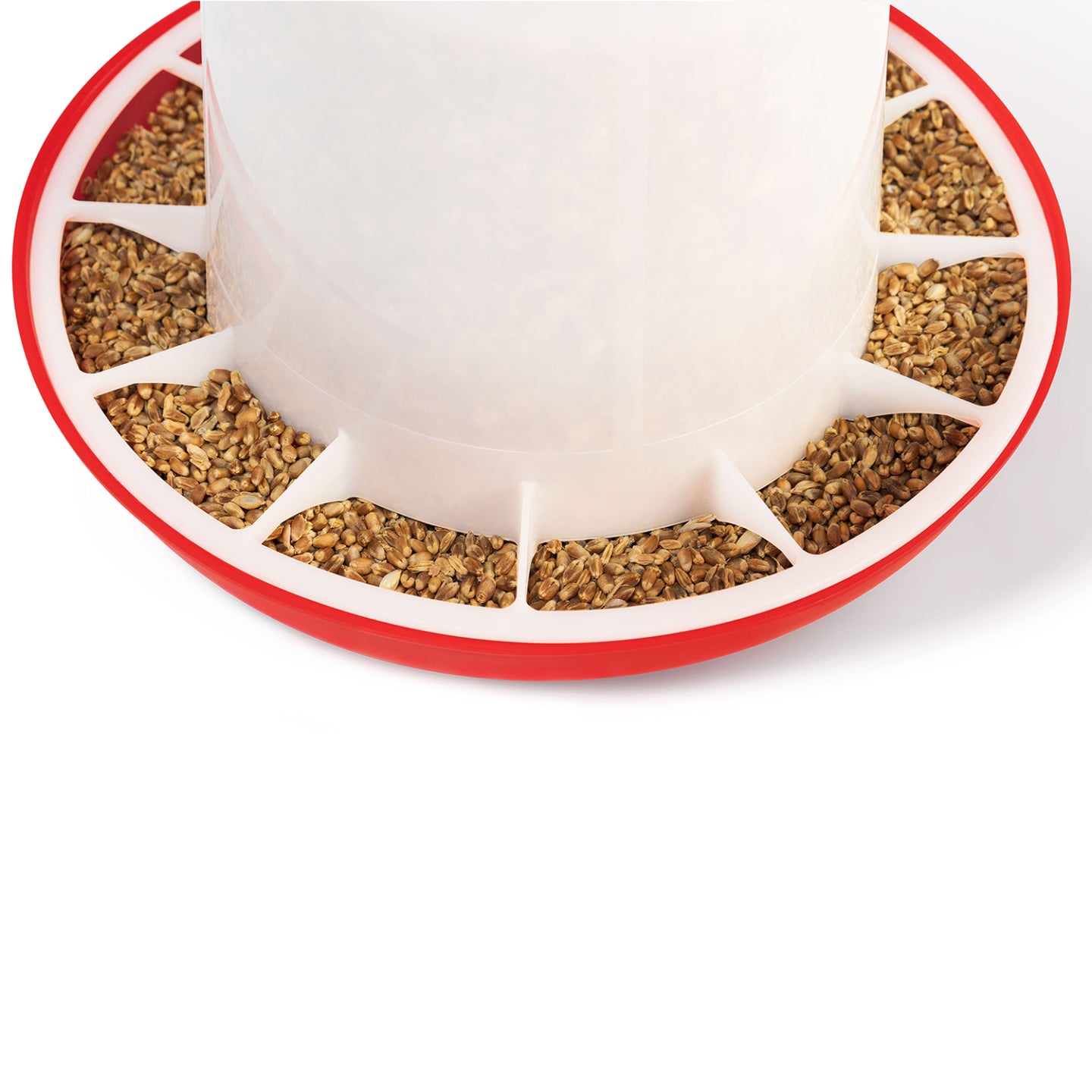 IDMarket - Set di mangiatoia da 3 KG e abbeveratoio da 3L per polli e pollame