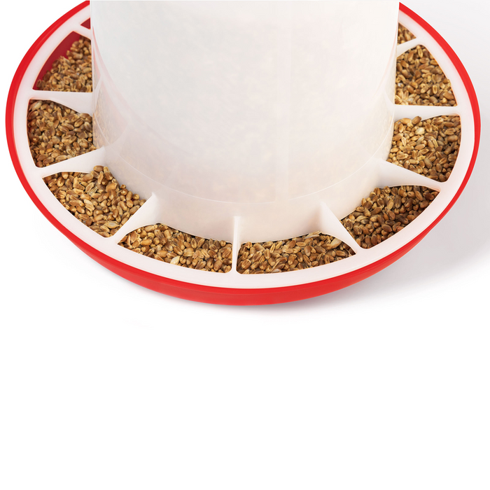 IDMarket - Set di mangiatoia da 3 KG e abbeveratoio da 3L per polli e pollame