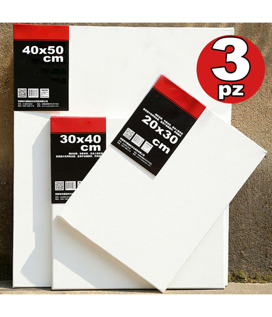Set Kit 3 Tele Tela Per Dipingere Canvas Rettangolare Disegno Arte Pittura         