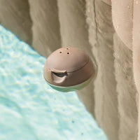 29044 - Dispenser Di Cloro Per Spa