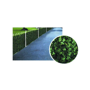 Siepe Edera h 150 m 20 Ilcampo 06232