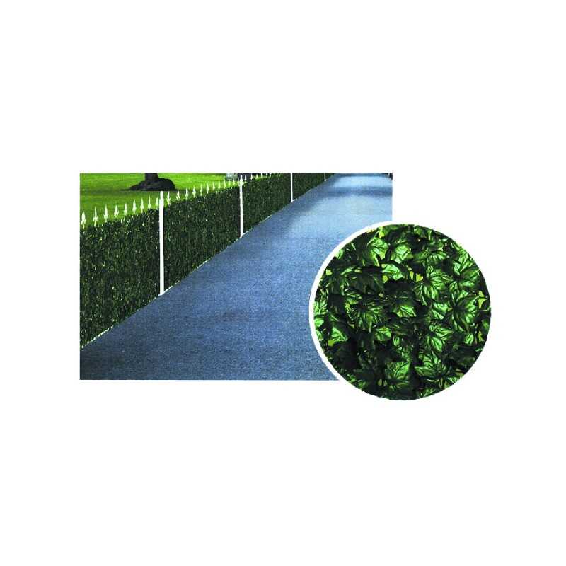 Siepe Edera h 150 m 20 Ilcampo 06232
