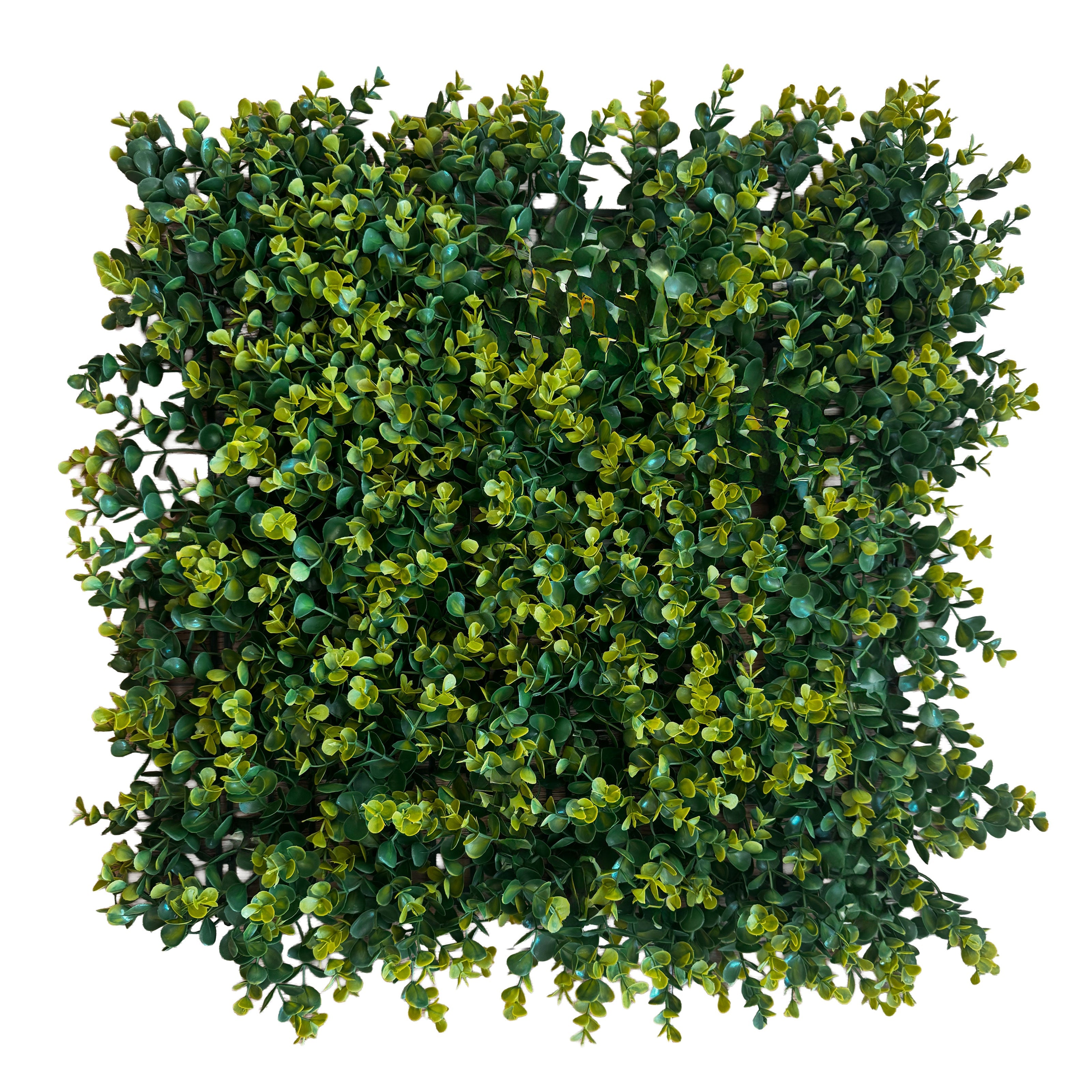 Pannelli Verde Verticale 50×50 cm Ultra-realistici e folti, per interno/esterno SIEPE MEDIA - Eternal Parquet