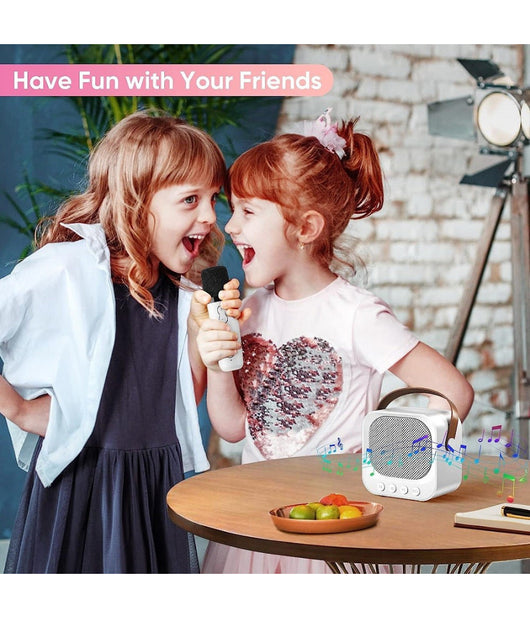 Sistema Karaoke Bluetooth Con Microfono Altoparlante Portatile Con Maniglia Audio         