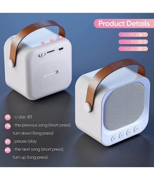 Sistema Karaoke Bluetooth Con Microfono Altoparlante Portatile Con Maniglia Audio         