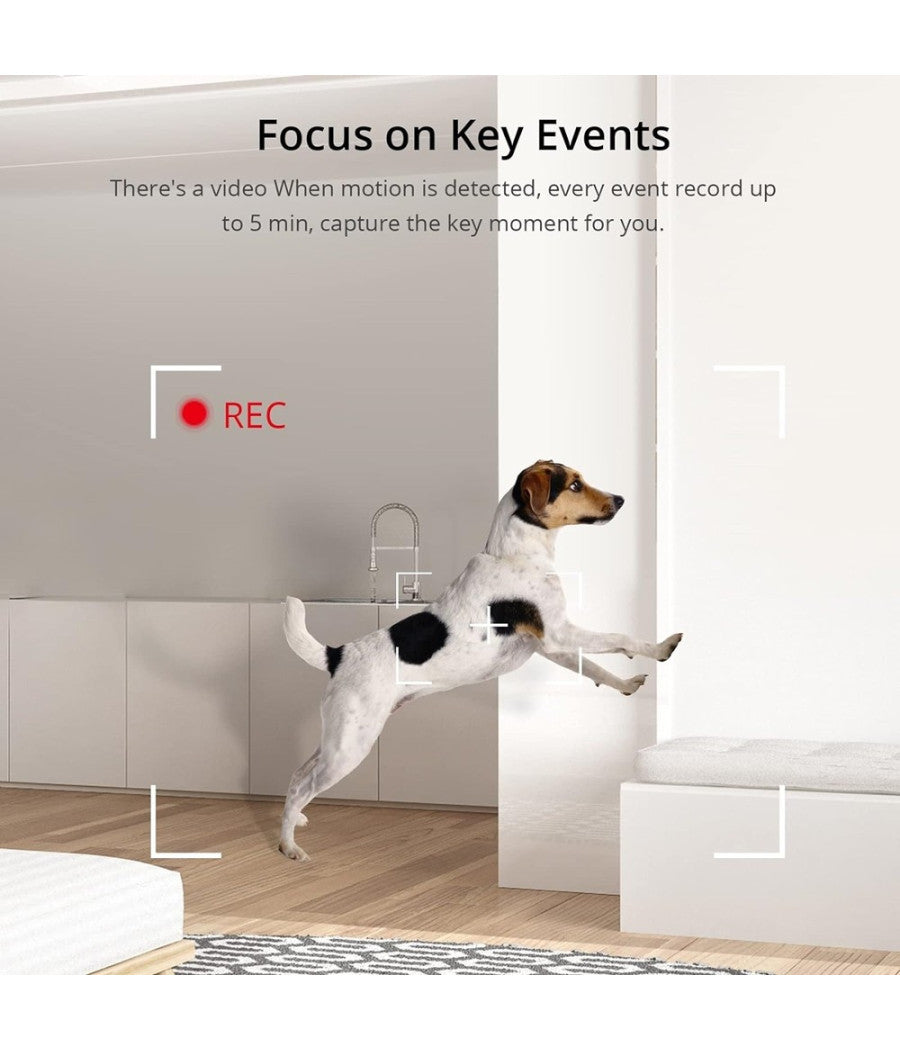 Smart Camera Mini Telecamera Visione Notturna Alexa Google 1080p Wifi Sonoff S-cam         