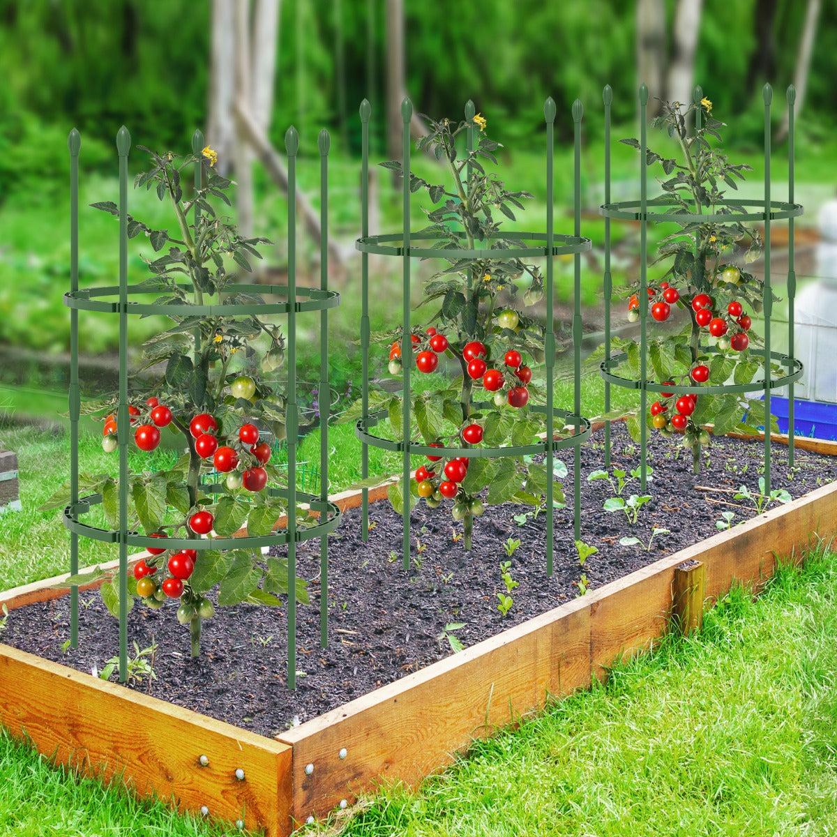 Sostegni per pomodori da giardino 3 pezzi, Supporti per piante alti 102cm per rampicanti piante in vaso Verde-Scaffali per piante