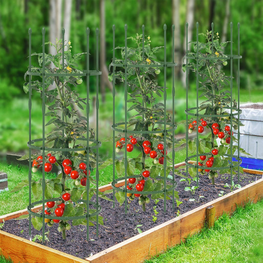 Sostegni per pomodori da giardino 3 pezzi, Supporti per piante alti 154cm per rampicanti piante in vaso Verde-Scaffali per piante