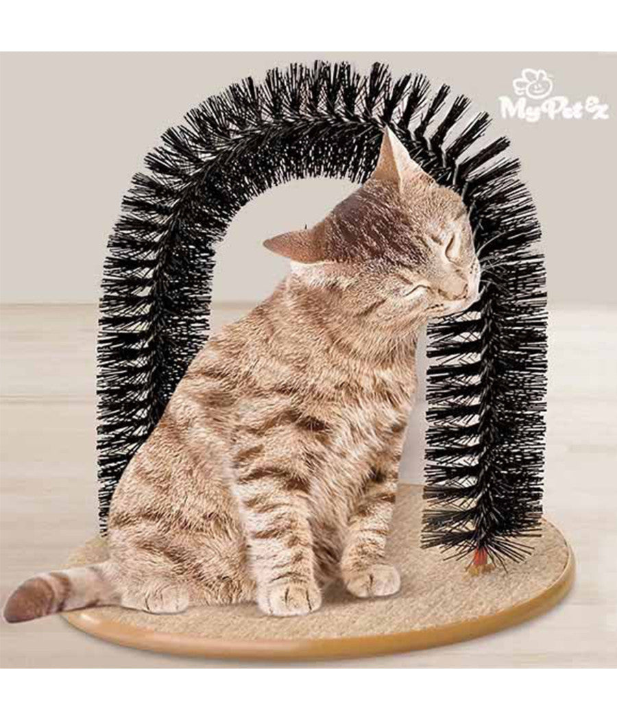 Spazzola Massaggiatore Per Gatti Arco Archetto Per Gatti Con Base Tiragraffi         