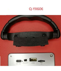 Speaker Portatile Karaoke Altoparlante Bluetooth Wireless Microfono Led Q-yx606         