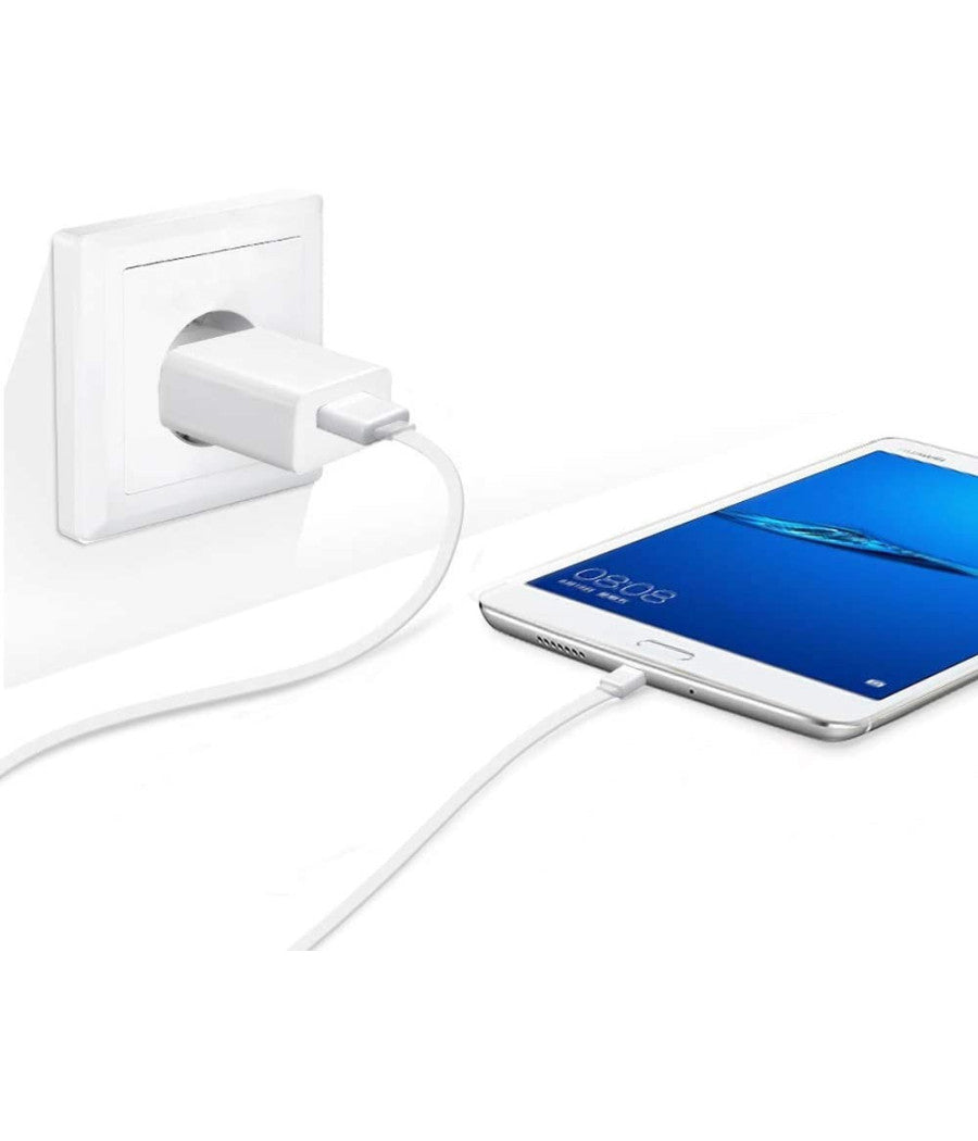 Spina Caricabatterie Usb Smartphone 2.1a Ricarica Veloce Per Presa Muro Q-cd013         