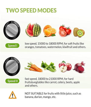 Spremiagrumi Elettrico Professionale Master Pro 400w 220v Cono Universale Q-z83         