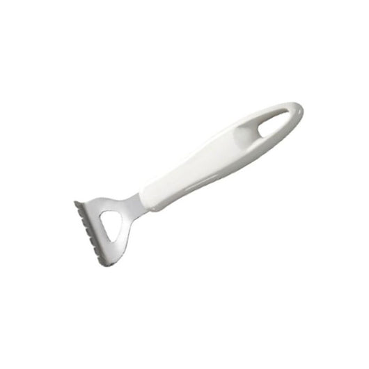 Squama Pesce Presto Tescoma 420120