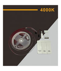 Strip Striscia Led 2835 Flessibile Dc 24v 10 Giochi Luce Ip20 5 Mt W2835-24-120         