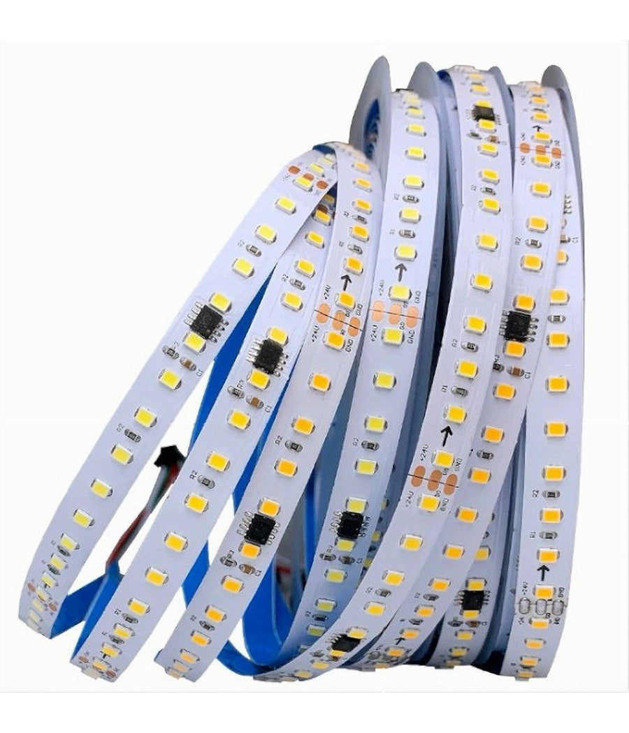 Strip Striscia Led 2835 Flessibile Dc 24v 10 Giochi Luce Ip20 5 Mt W2835-24-120         
