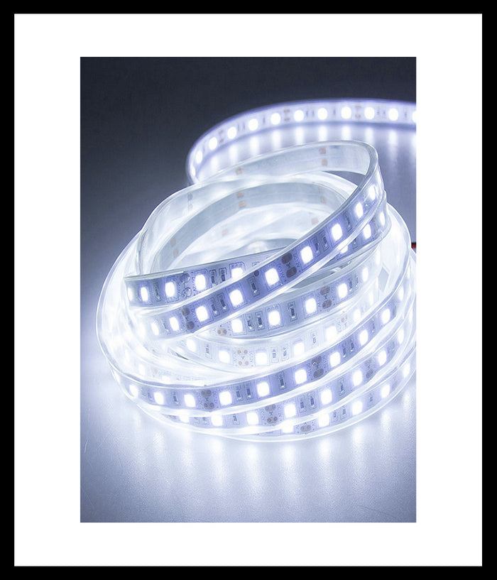Strisce Led Gommate 2835 144d 10mm 100mt 220v Vari Toni Di Colori Luce 2835smd  -bianco Freddo      -