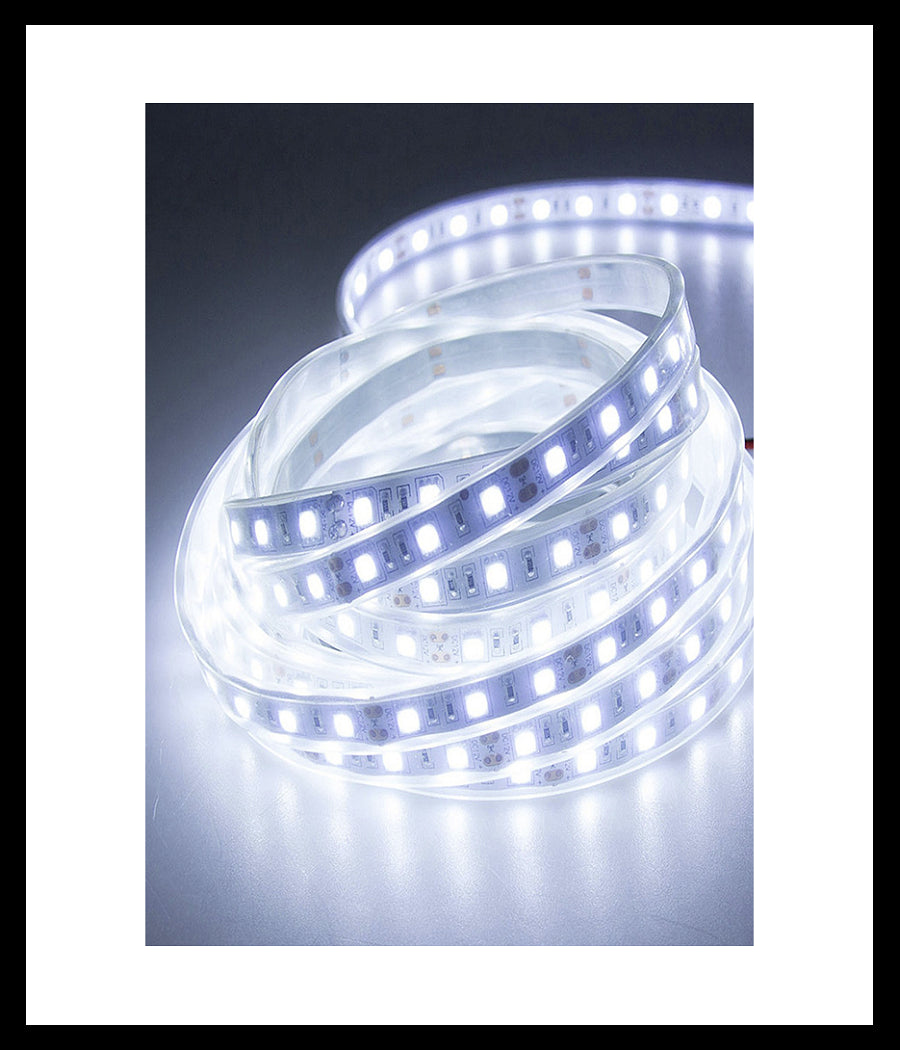 Strisce Led Gommate 2835 144d 10mm 100mt 220v Vari Toni Di Colori Luce 2835smd  -bianco Freddo      -