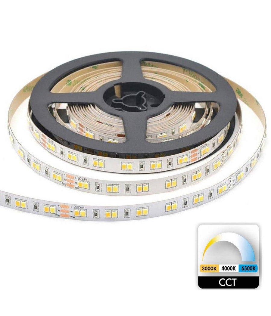 Striscia 980led 55w Cct Da 3000k A 6500k 24v Dimmerabile Strip Adesiva Bobina 5mt         
