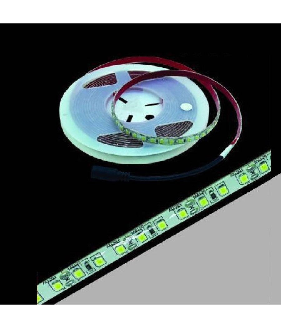 Striscia Led 2835 5mt Bobina Luce 4000k 3000k 6500k Waterprof Ip55 2835-12v         