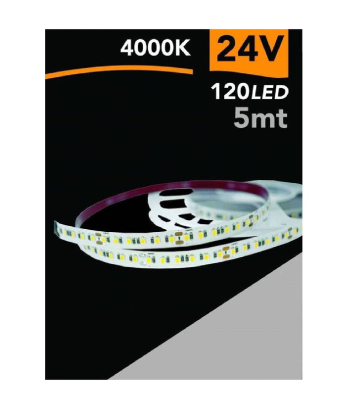 Striscia Led 2835 Strip 5 Mt 24v 120 Led Smd Luce 3000k 4000k 6500k 2835-24v-5mm         