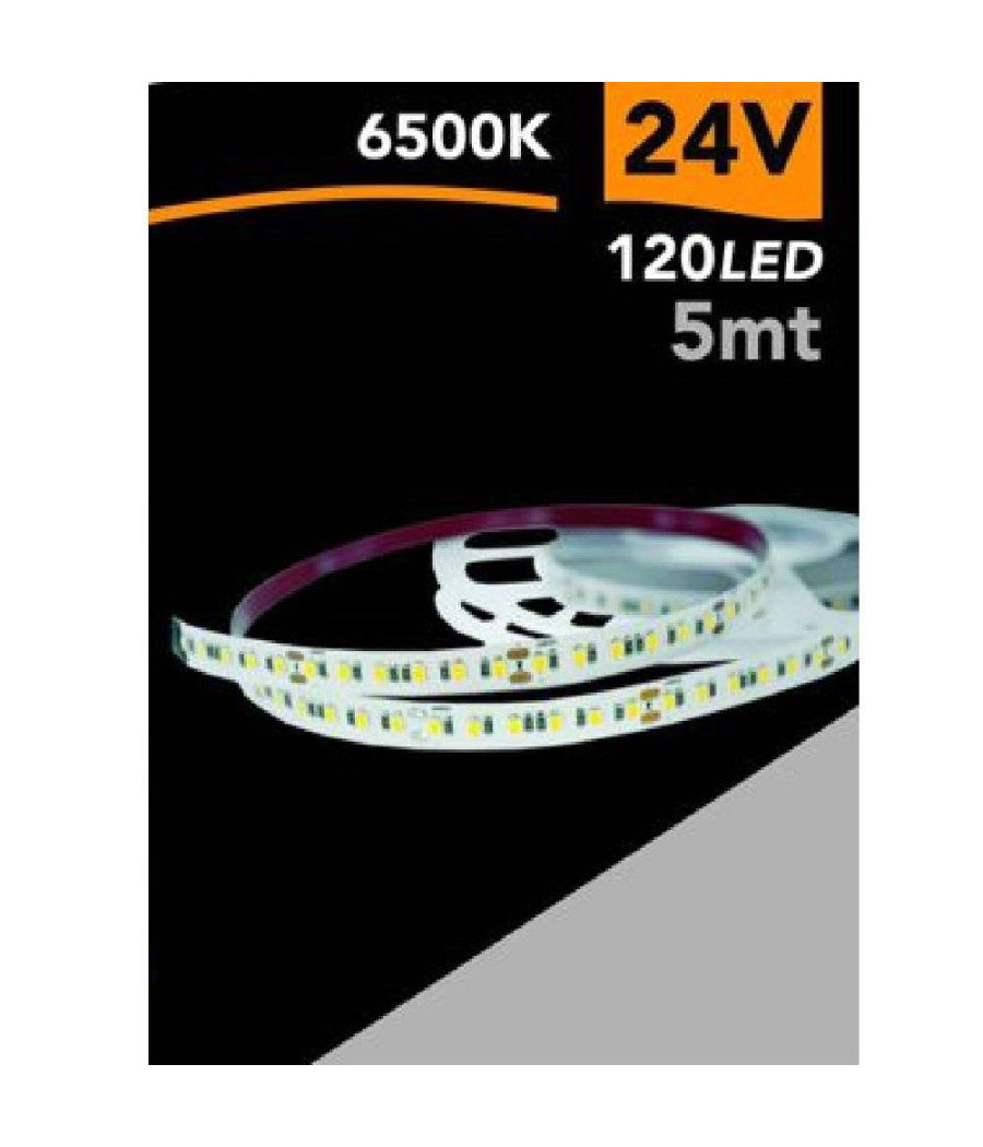 Striscia Led 2835 Strip 5 Mt 24v 120 Led Smd Luce 3000k 4000k 6500k 2835-24v-5mm  -bianco Freddo      -