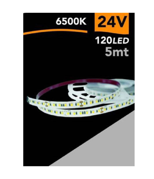 Striscia Led 2835 Strip 5 Mt 24v 120 Led Smd Luce 3000k 4000k 6500k 2835-24v-5mm  -bianco Freddo      -