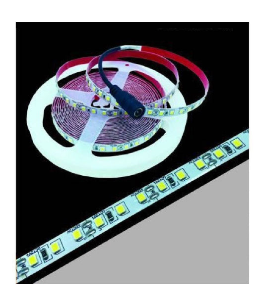 Striscia Led 2835 Strip 5mt Bobina Luce 3000k 4000k 6500k Blu Ip22 2835-12v         