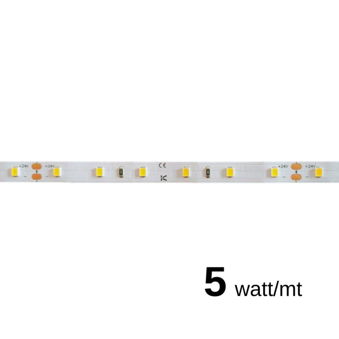 Striscia a led da 5W/MT 24V 610 lm/mt 4000K - Bobina da 5 metri IP20