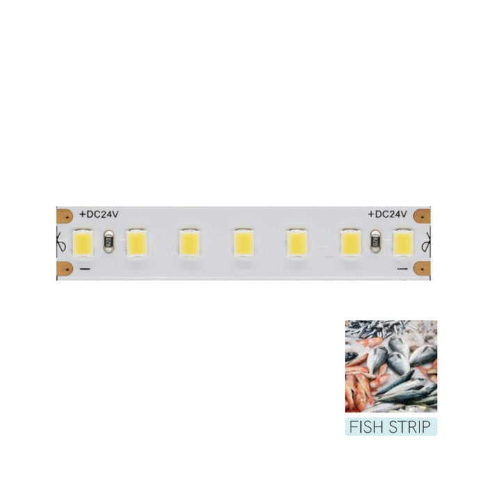 Striscia led per illuminare il banco alimenti del Pesce - Bobina da 5m 14,4W/M 95LM/W IP20 11.600K
