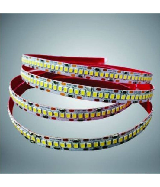 Striscia Led Smd 2835 Alta Luminosità  5mt Luce 6500k 3000k 4000k 2835-24v-240         