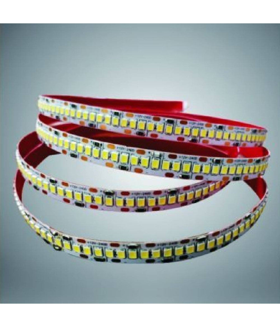 Striscia Led Smd 2835 Alta Luminosità  5mt Luce 6500k 3000k 4000k 2835-24v-240  -bianco Naturale      -