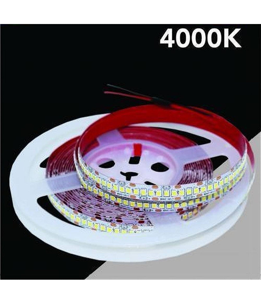 Striscia Led Smd 2835 Strip 5 Mt Bobina Luce Naturale Calda Fredda 2835 12v         