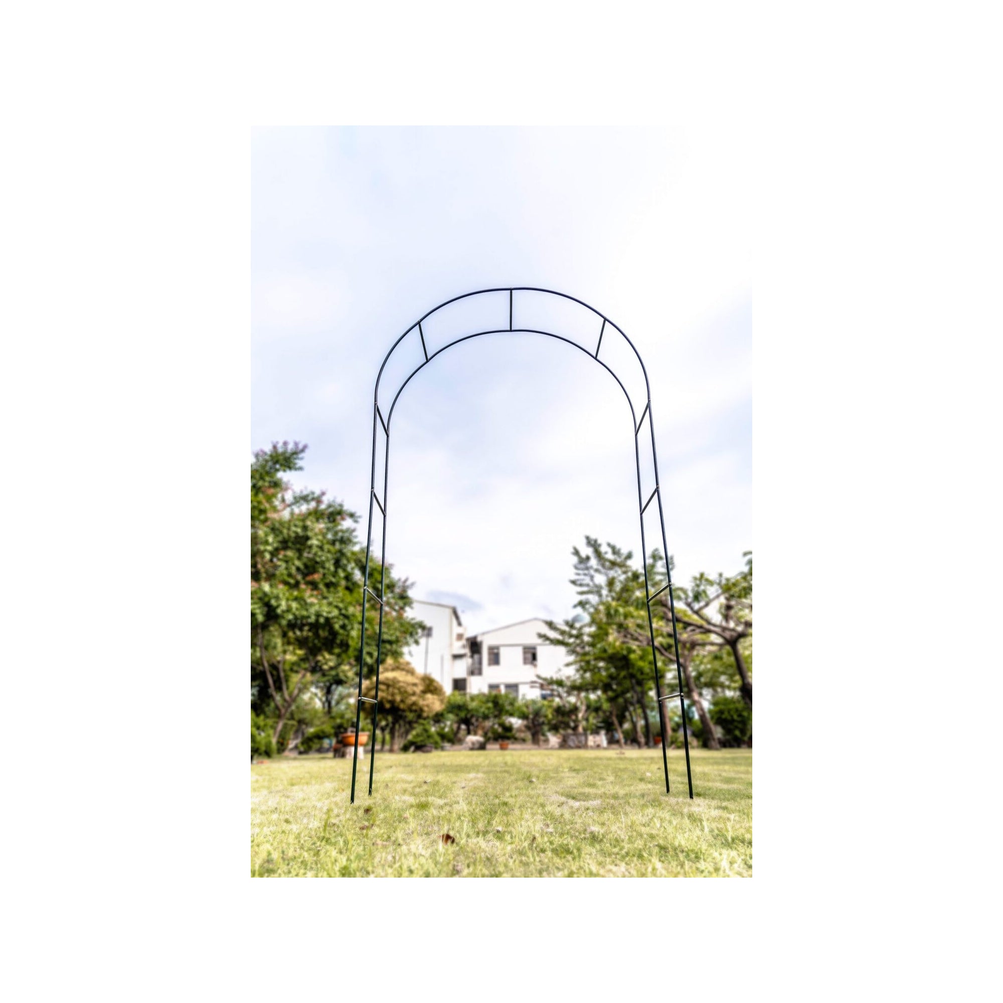 Supporto per pianta - Suan - Supporto per la crescita - Dimensioni: 137 x 38 x 243 cm