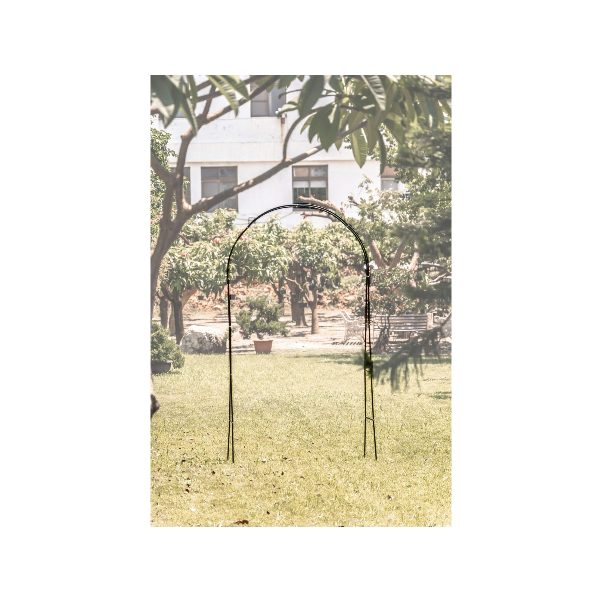 Supporto per pianta - Suan - Supporto per la crescita - Dimensioni: 137 x 38 x 243 cm