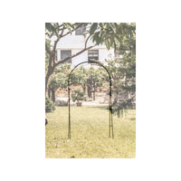 Supporto per pianta - Suan - Supporto per la crescita - Dimensioni: 137 x 38 x 243 cm