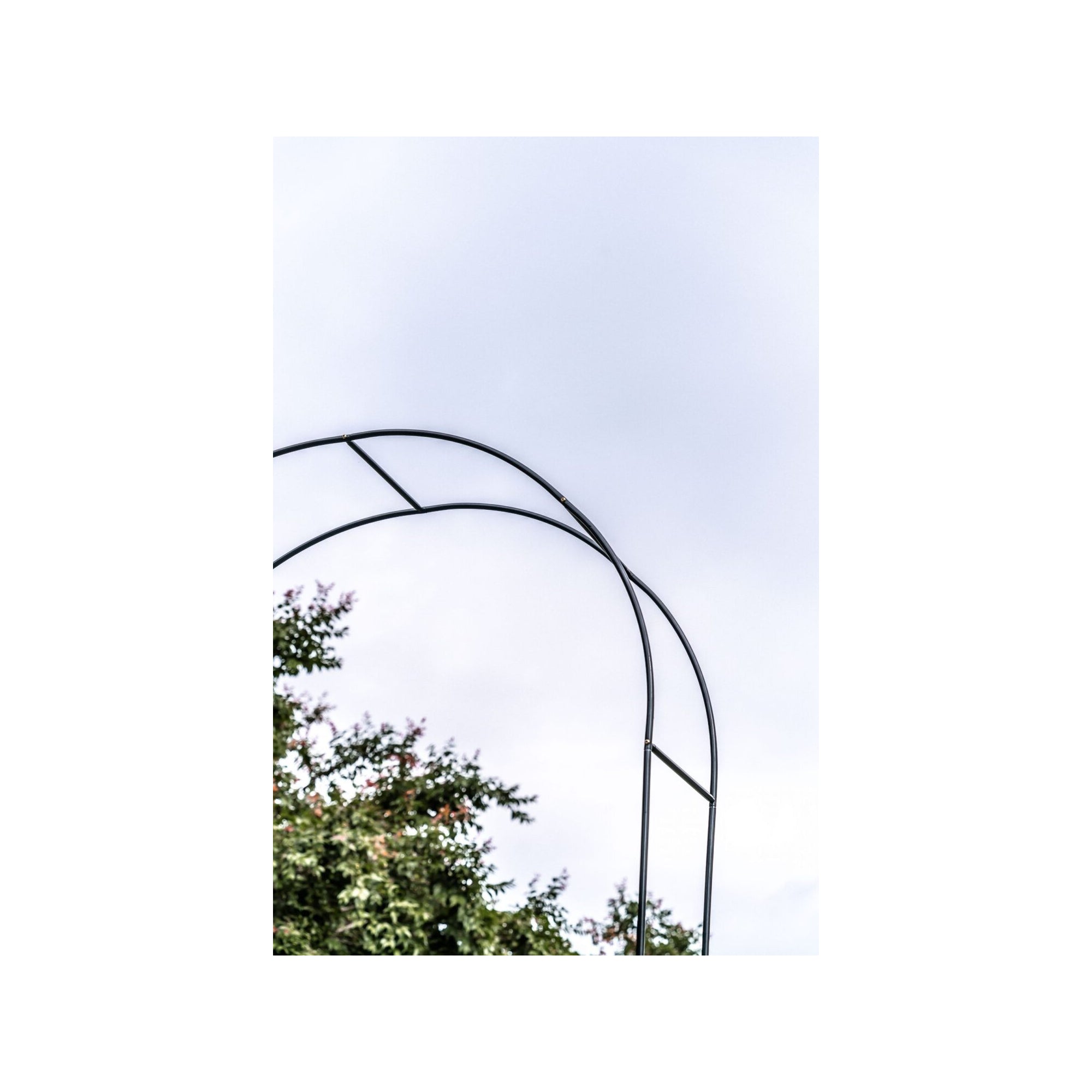 Supporto per pianta - Suan - Supporto per la crescita - Dimensioni: 137 x 38 x 243 cm